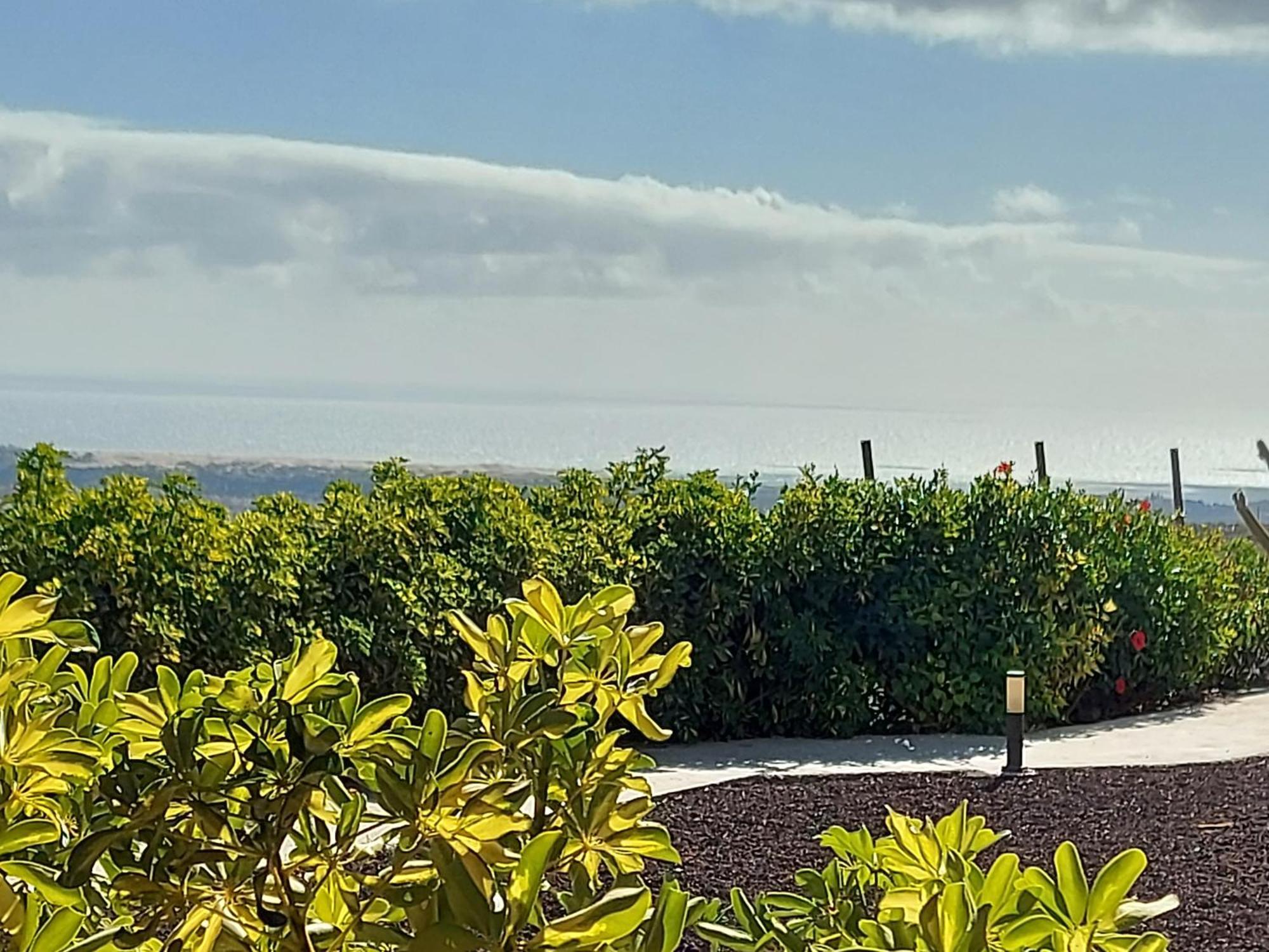 The Black Horse Canarias - Adults Only Maspalomas  Phòng bức ảnh