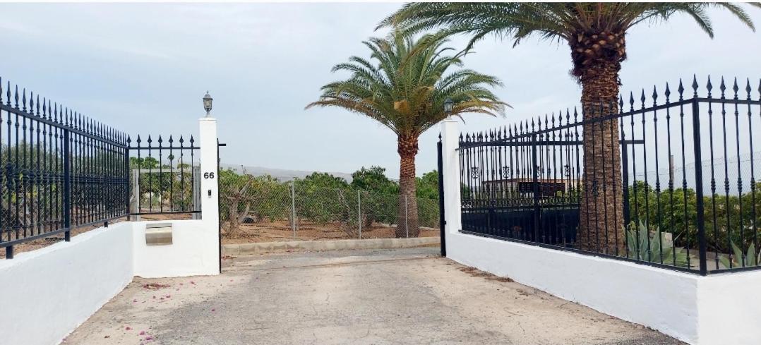 The Black Horse Canarias - Adults Only Maspalomas  Phòng bức ảnh
